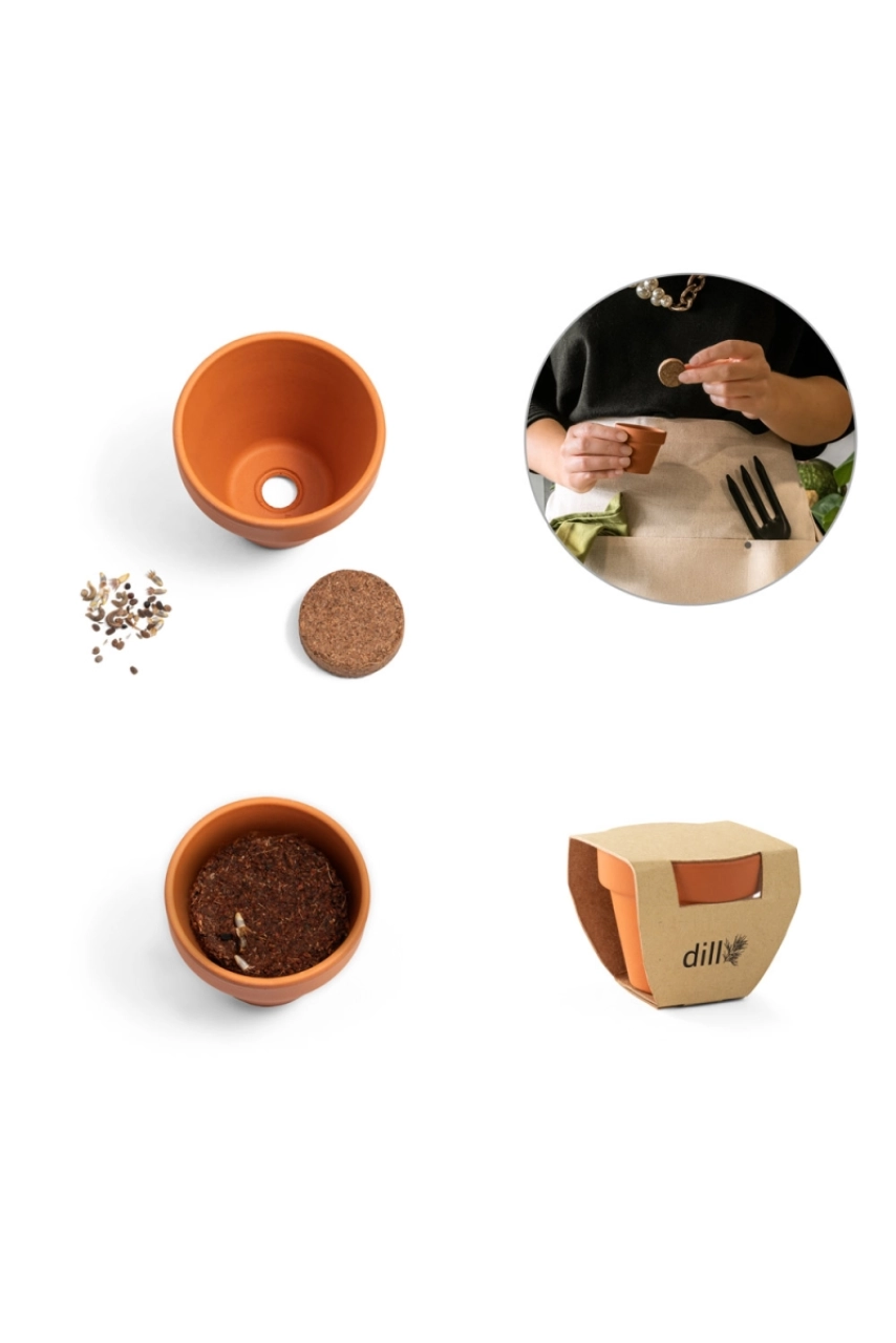 ANETHUM. Pot en terre cuite avec graines d'aneth
