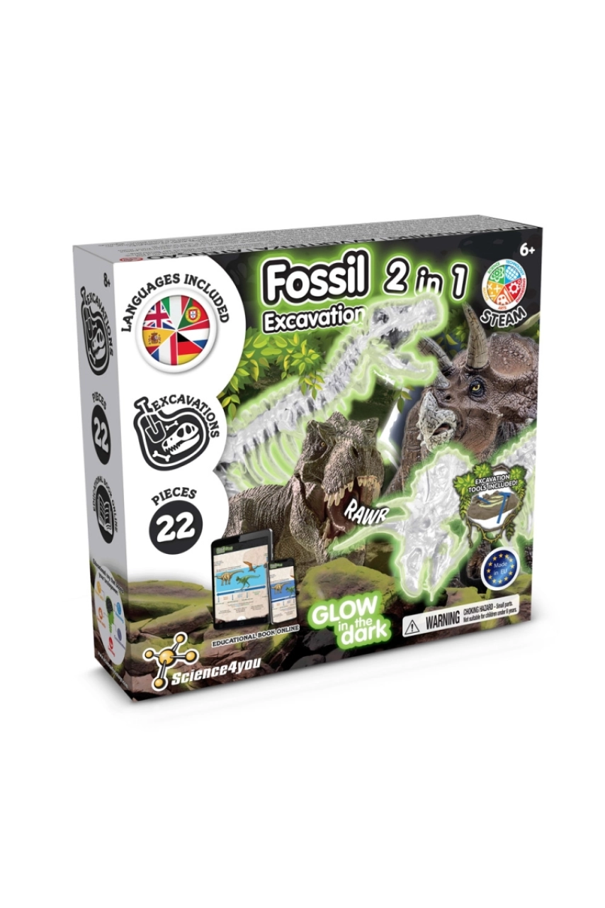 2 in 1 Fossil Excavation Kit I. Jeu éducatif pour enfants