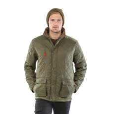Veste Cheltenham Gold