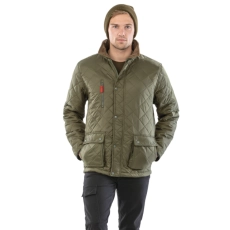 Veste Cheltenham Gold