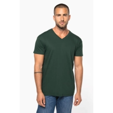 T-shirt Bio150 IC col V homme