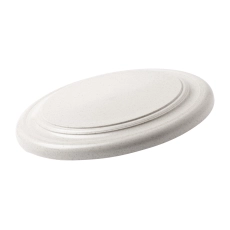 frisbee