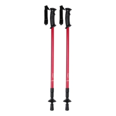 bâtons nordic walking