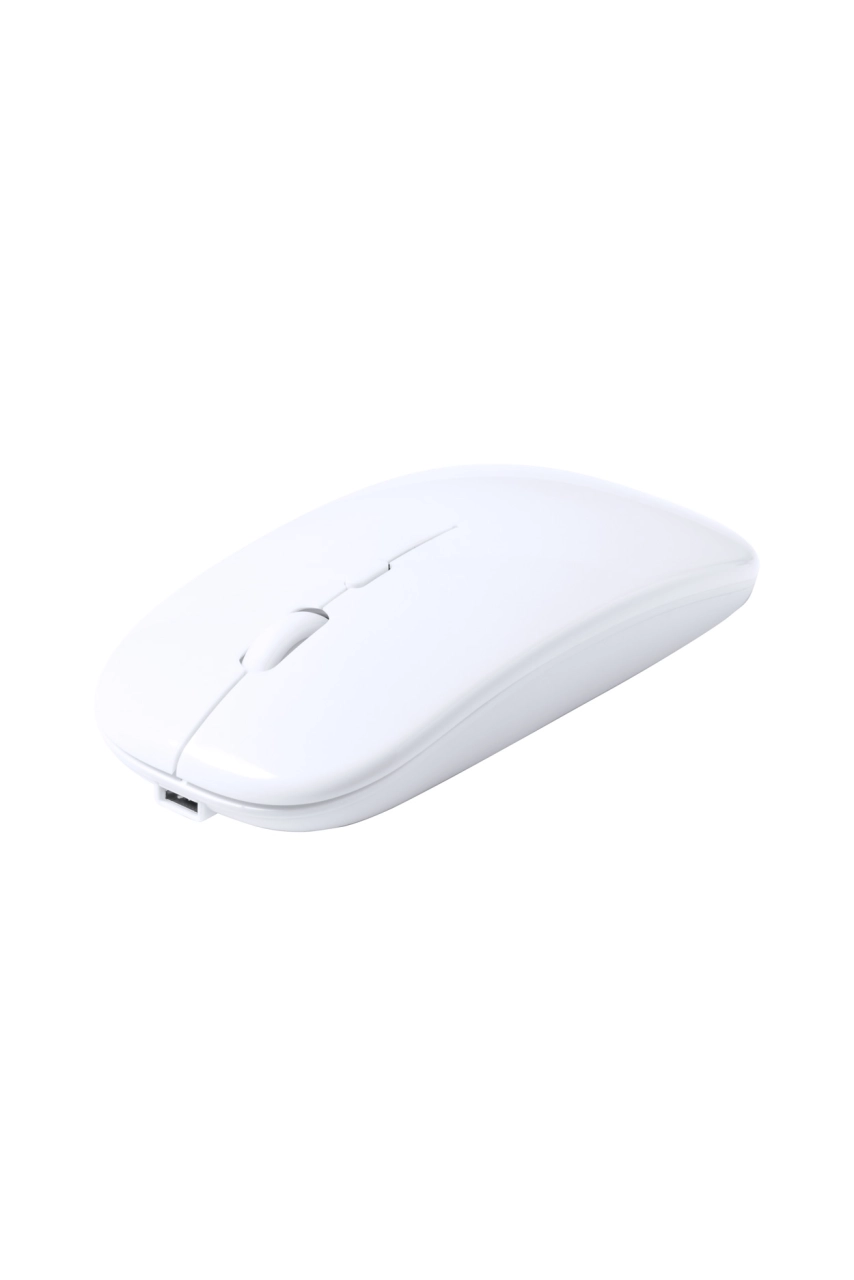 Souris optique RABS