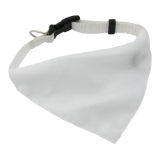 collier pour chien