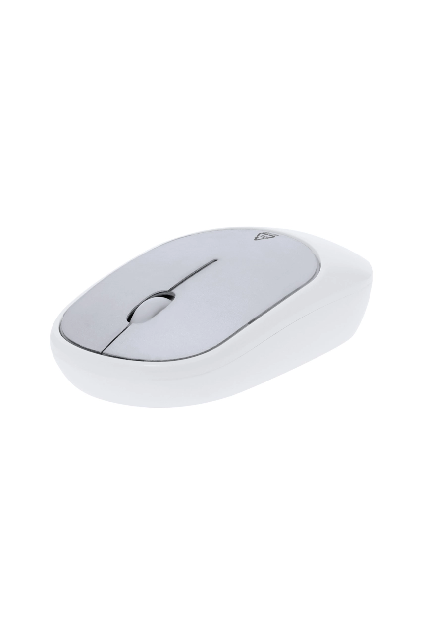 Souris optique