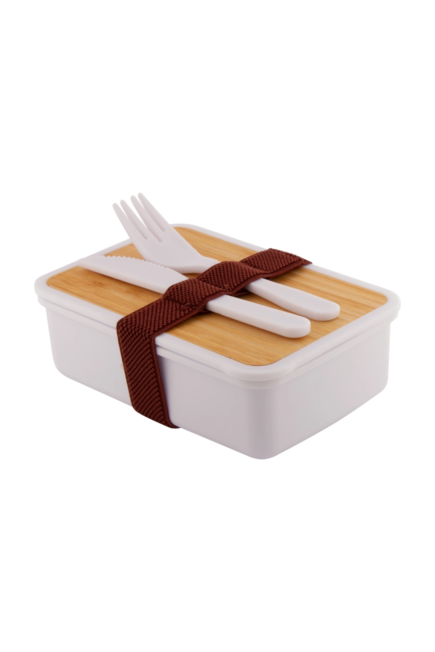 Boîte à lunch