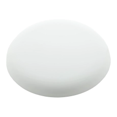 Frisbee