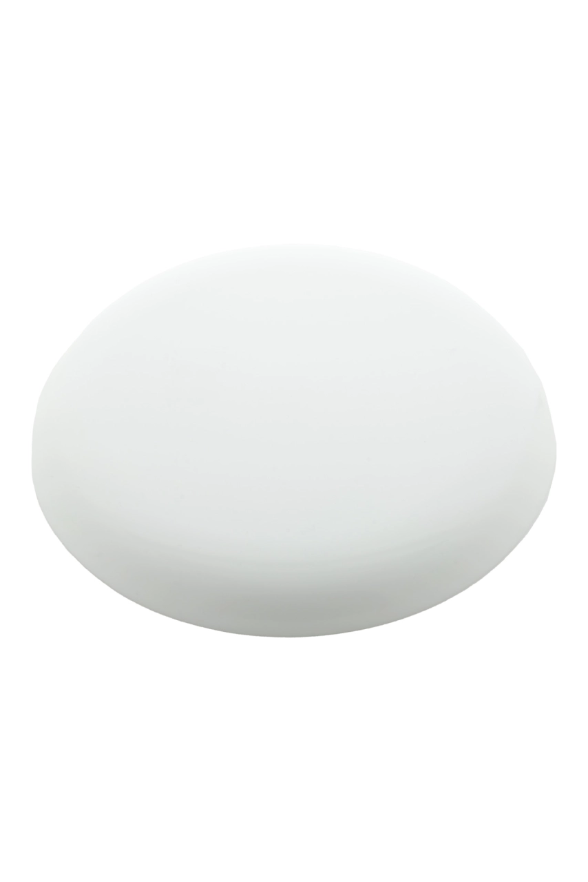 Frisbee