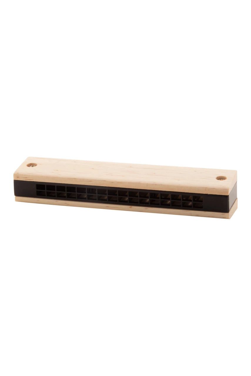 harmonica