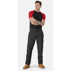 Pantalon ACTION FLEX homme (TR2025R)