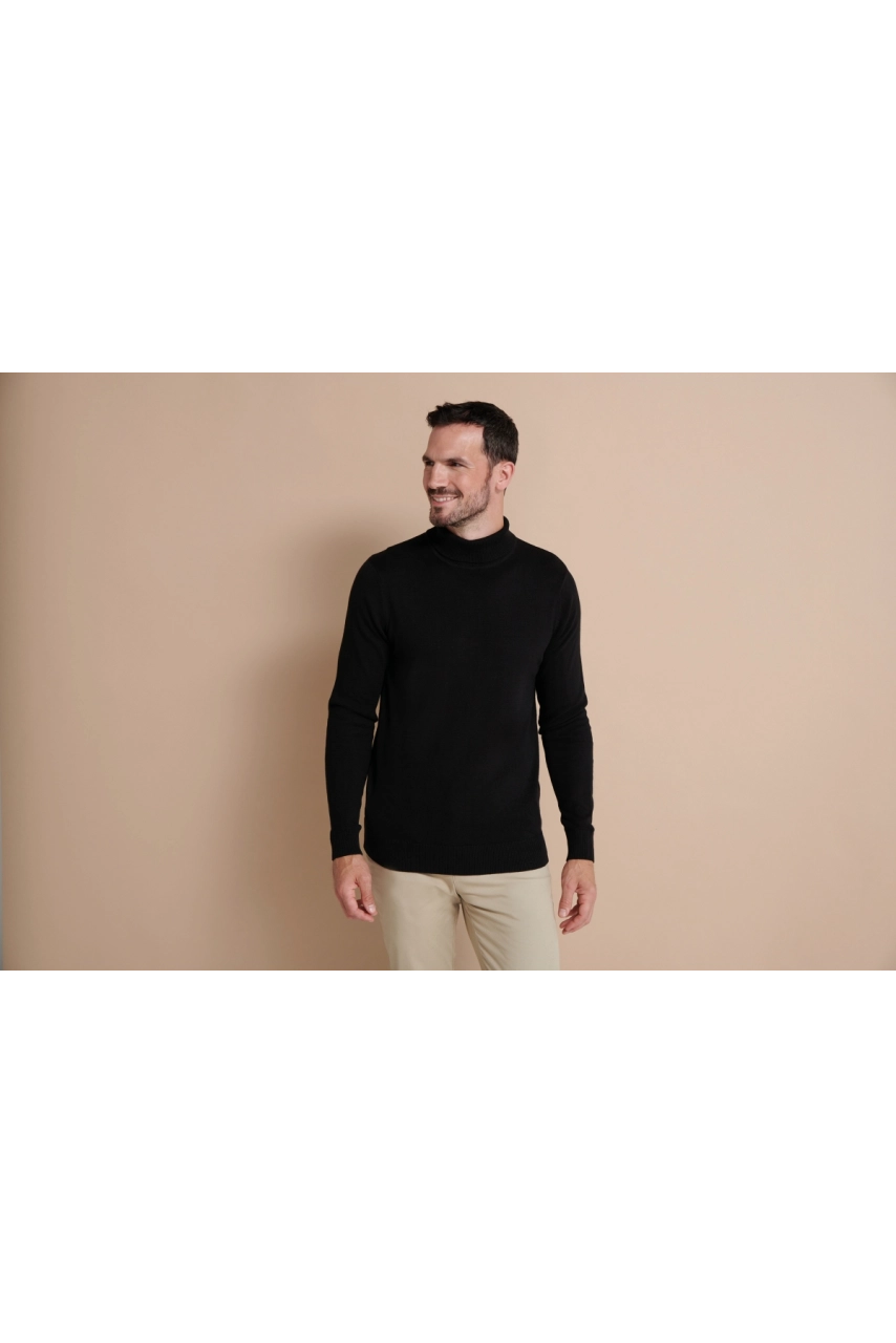 Pull col roulé