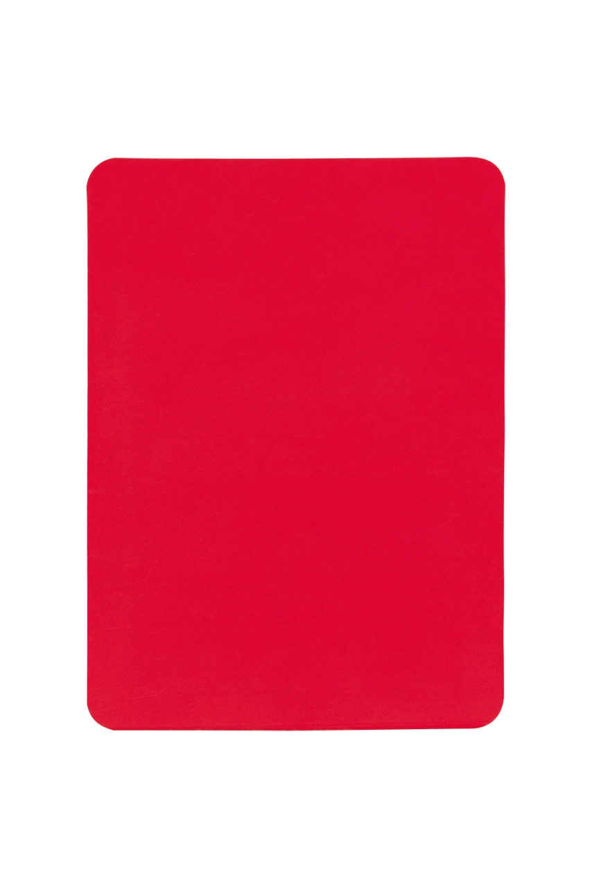 Carton d'arbitre