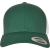 Evergreen / White