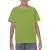 Kiwi (x72)