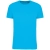 Sea Turquoise