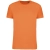 LIGHT ORANGE