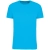 Sea Turquoise